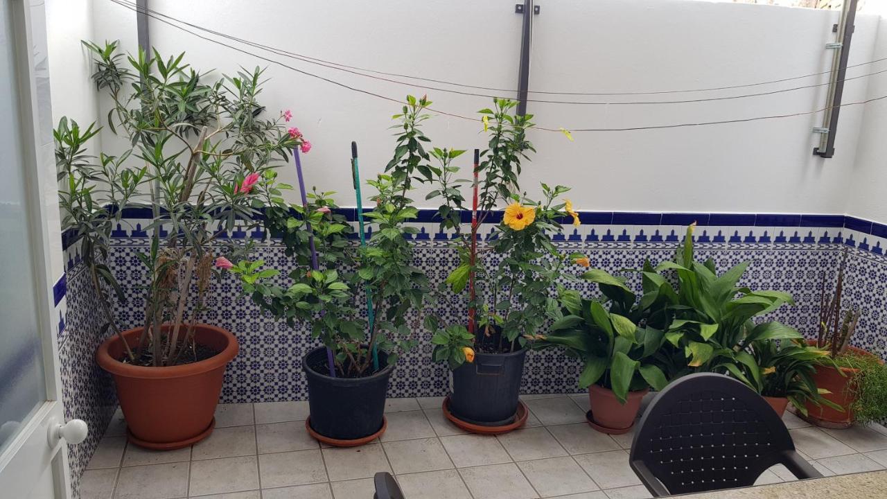 Apartamento Callejuela Las Flores الجودوناليس المظهر الخارجي الصورة